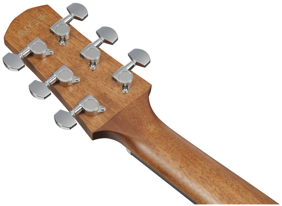 Hlavní obrázek Dreadnought IBANEZ AAD54E-OMH - Open Pore Mahogany Sunburst