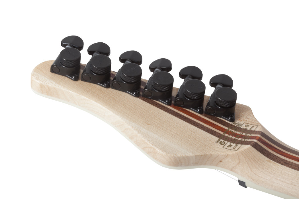 Hlavní obrázek Elektrické kytary SCHECTER PT SLS Elite - Blood Burst