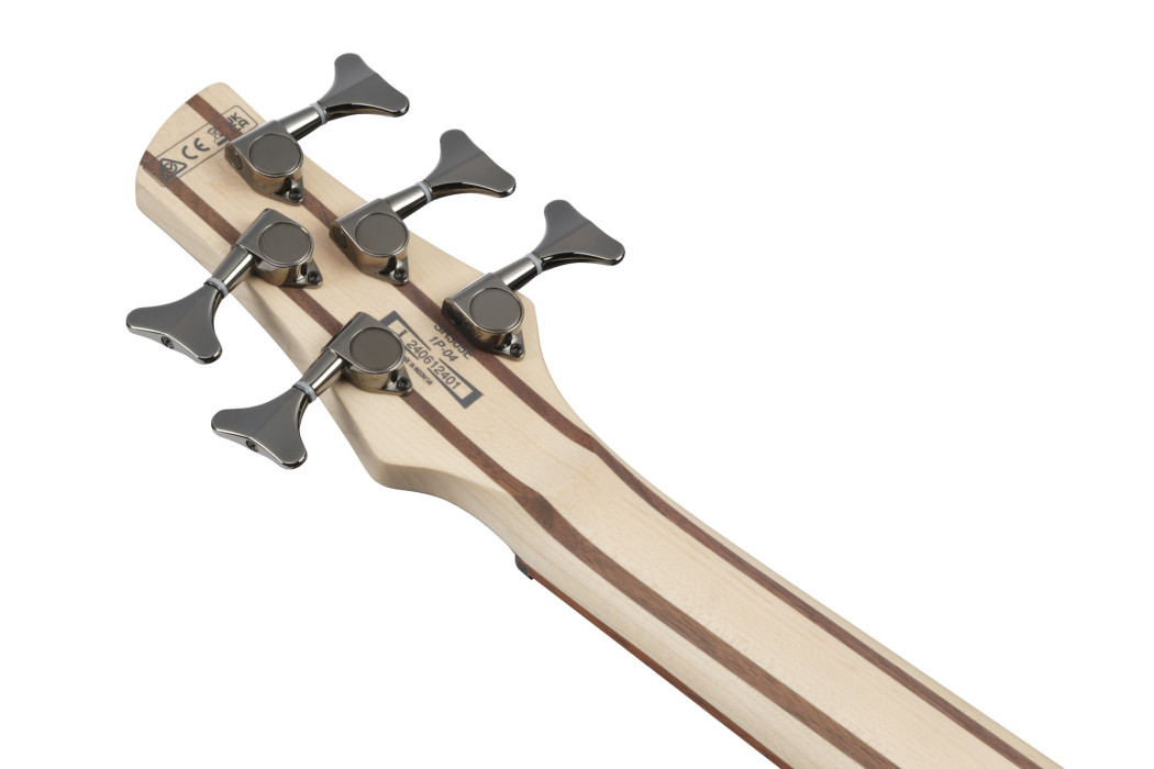 Hlavní obrázek 5strunné IBANEZ SR305E-DOT - Deep Ocean Metallic