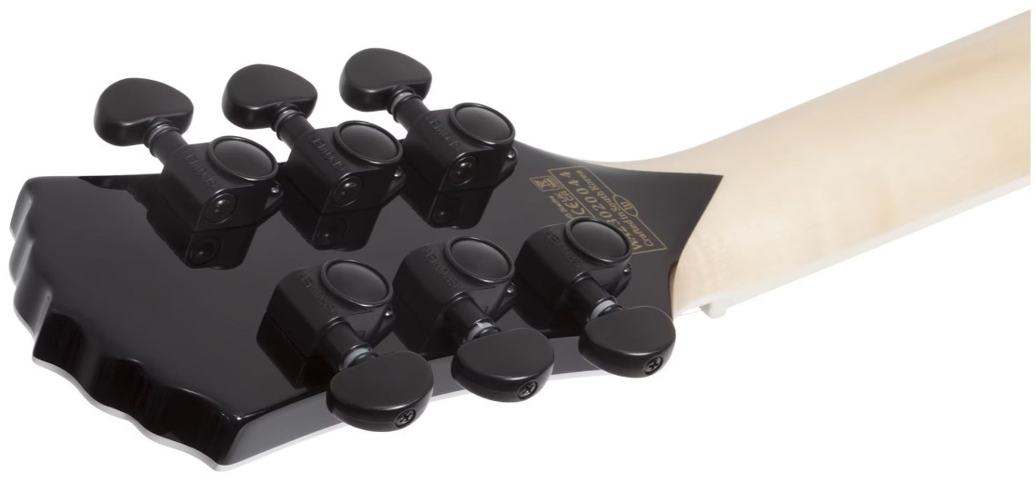 Hlavní obrázek Hard&heavy SCHECTER Wylde Audio Nomad Norse Dragon - RawTop