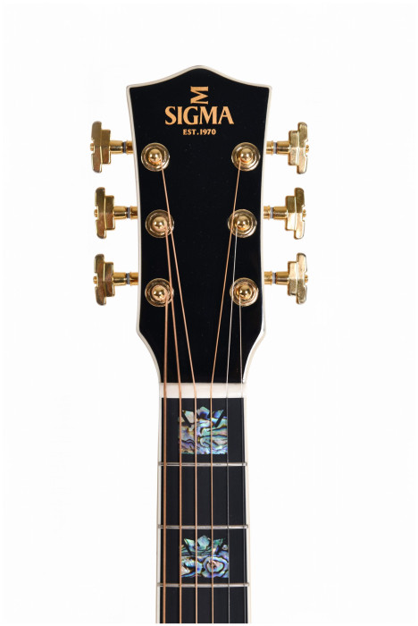 Hlavní obrázek Jumbo SIGMA GUITARS GJR-SG300 - Natural
