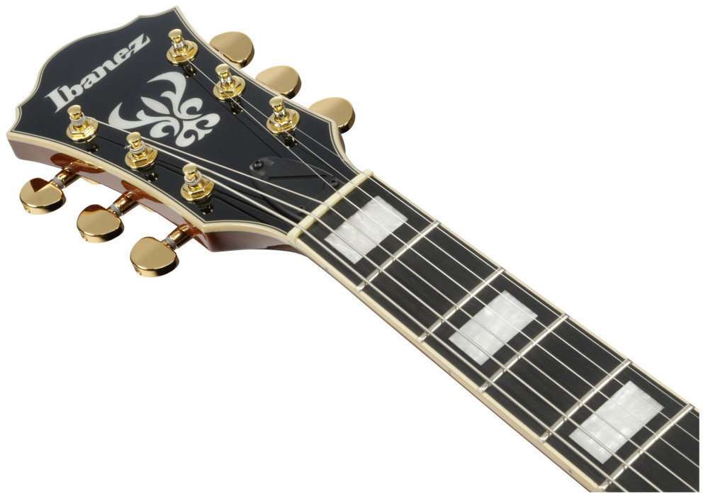 Hlavní obrázek Semiakustické a jazzové IBANEZ AG95MG-DA - Dark Amber