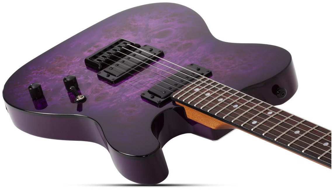 Hlavní obrázek T - modely SCHECTER PT Standard - Purple Burst Burl