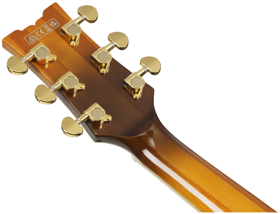 Hlavní obrázek Semiakustické a jazzové IBANEZ AM153FM-ATT - Antique Tobacco Burst