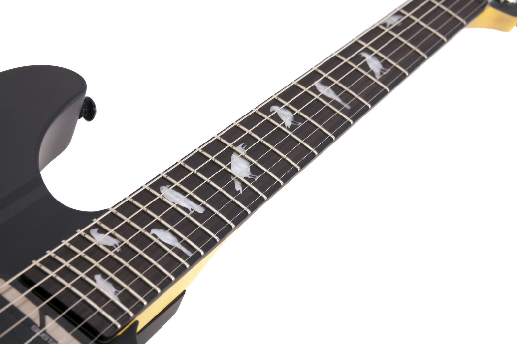 Hlavní obrázek Superstrat SCHECTER DJ Ashba - Carbon Grey