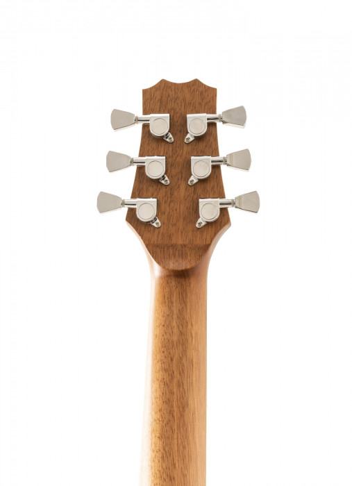 Hlavní obrázek Akustické kytary a ostatní PEAVEY Delta Woods DW-1 - Natural