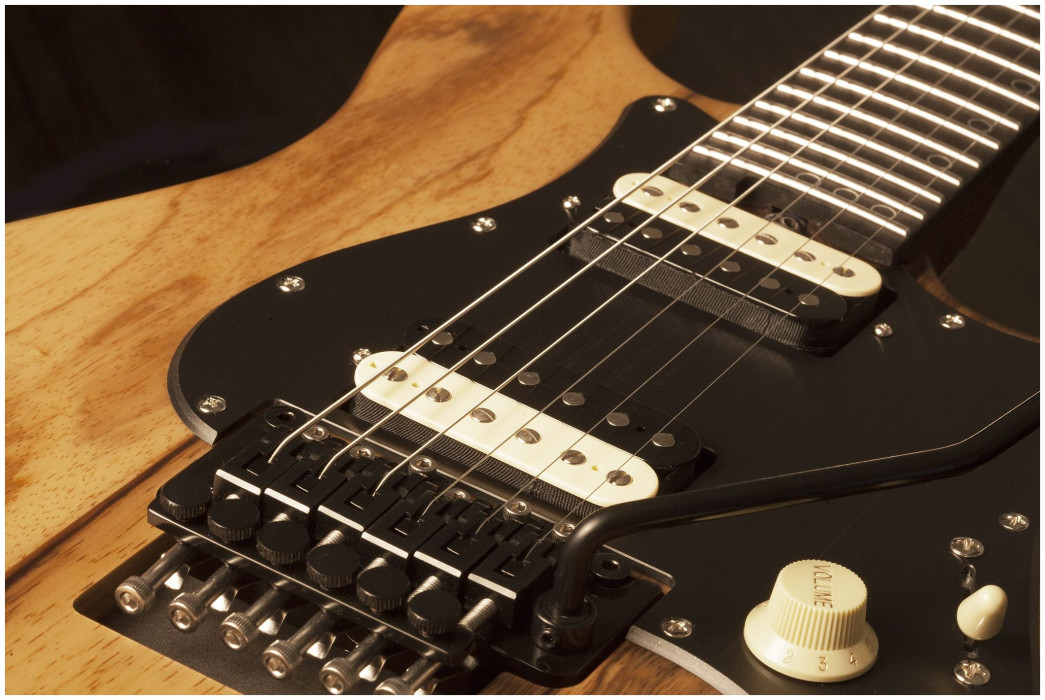 Hlavní obrázek ST - modely SCHECTER Sun Valley Super Shredder Exotic FR - Natural Satin