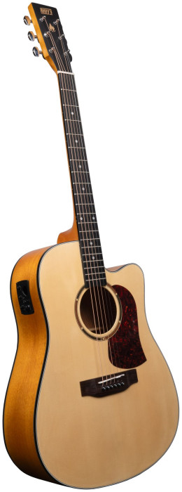 Hlavní obrázek Dreadnought HENRY’S Bonefire B102 EQ - Natural