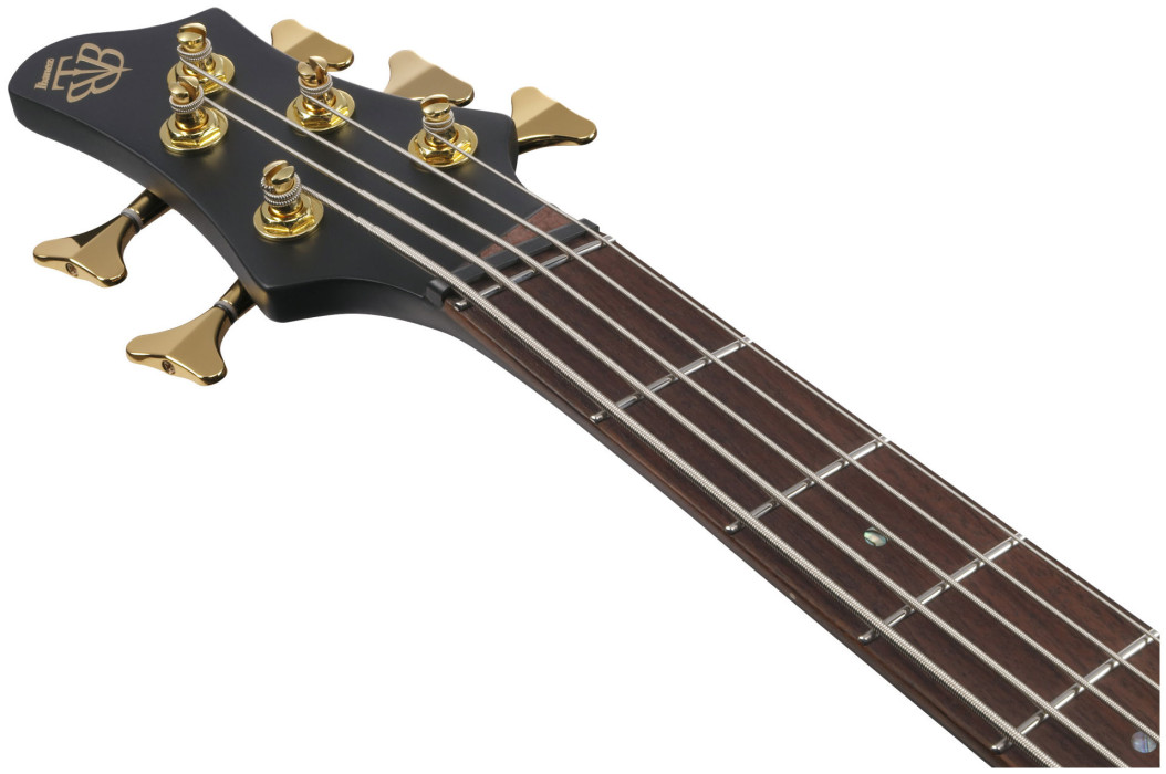 Hlavní obrázek 5strunné IBANEZ BTB605LM-BKF - Black Flat Light-Angled