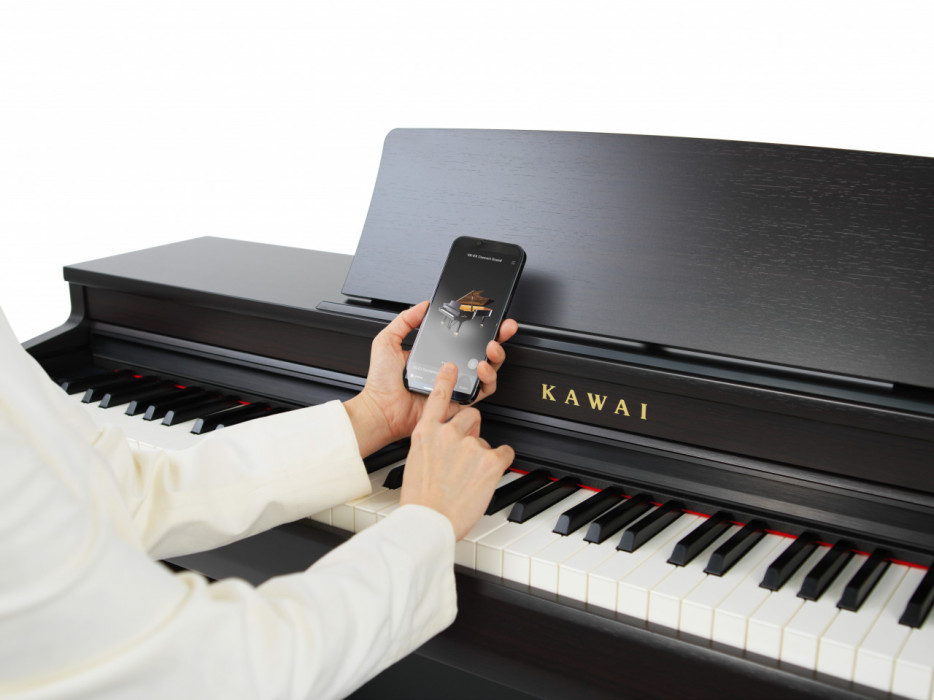 Hlavní obrázek Klávesy KAWAI CN201R - Premium Rosewood