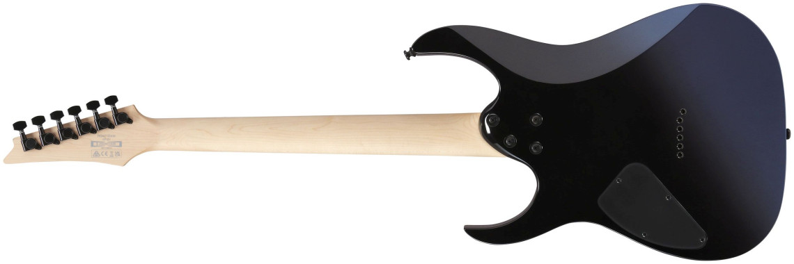 Hlavní obrázek Superstrat IBANEZ RG421DX-TWS - Twilight Shade