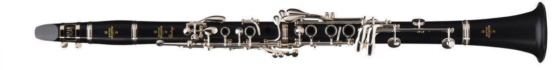 Hlavní obrázek Klarinety a hoboje BUFFET CRAMPON BC 2541L-2-0GB Prodige