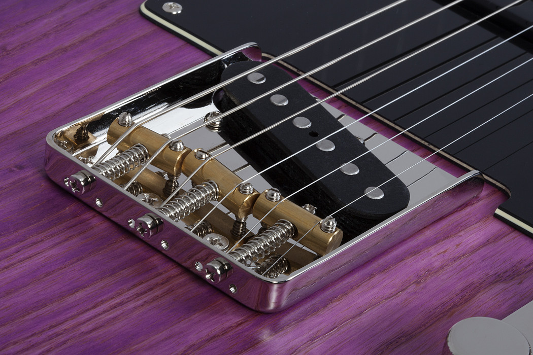 Hlavní obrázek T - modely SCHECTER PT Special - Purple Burst Pearl