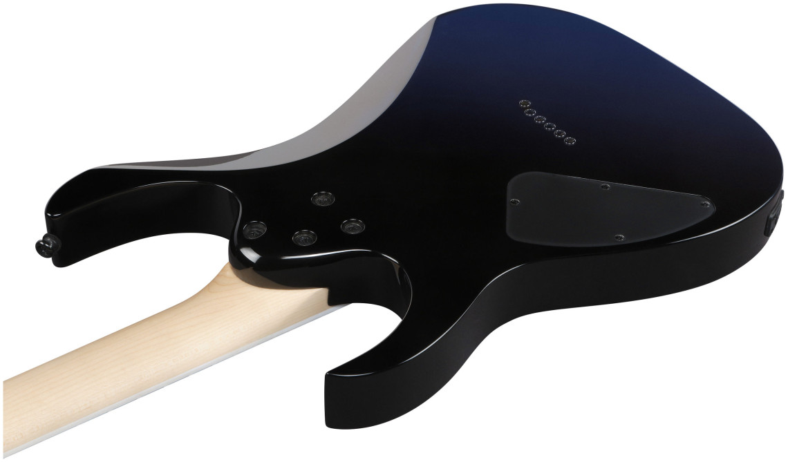 Hlavní obrázek Superstrat IBANEZ RG421DX-TWS - Twilight Shade