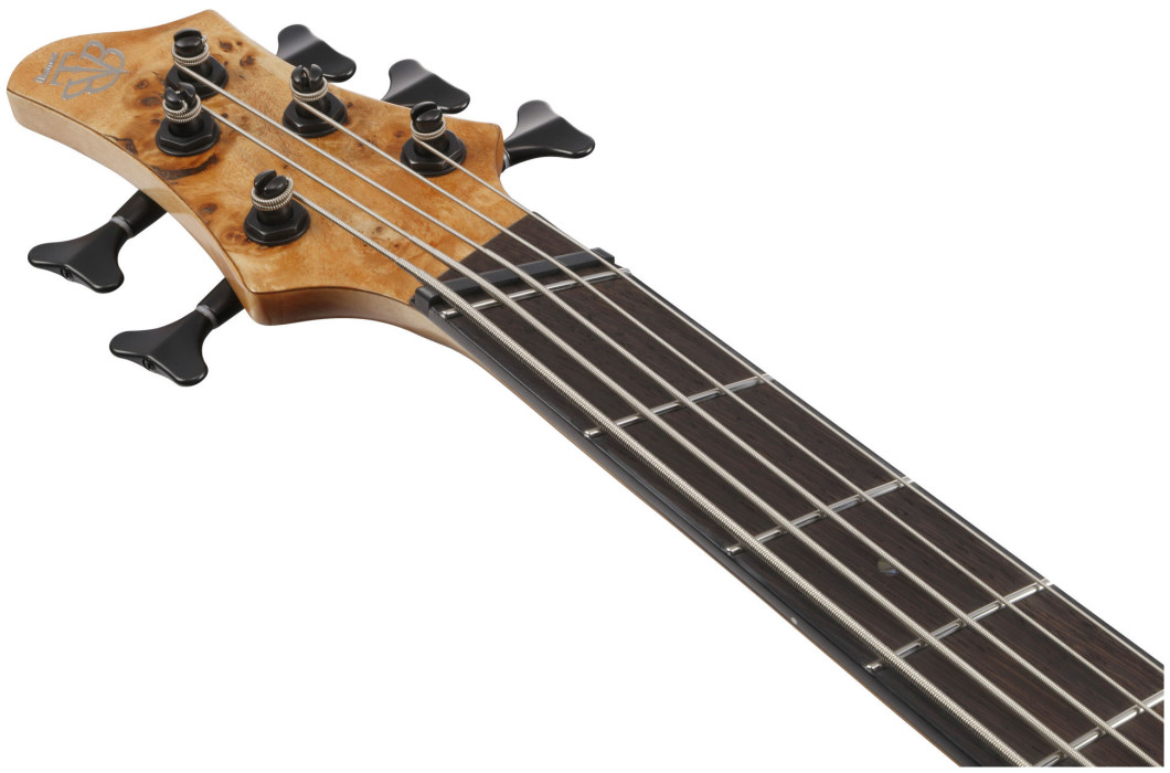 Hlavní obrázek 5strunné IBANEZ BTB805MS-FNL - Florid Natural Low Gloss