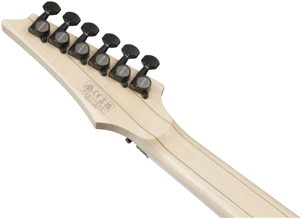Hlavní obrázek Superstrat IBANEZ RG653DX-WHF - White Flat
