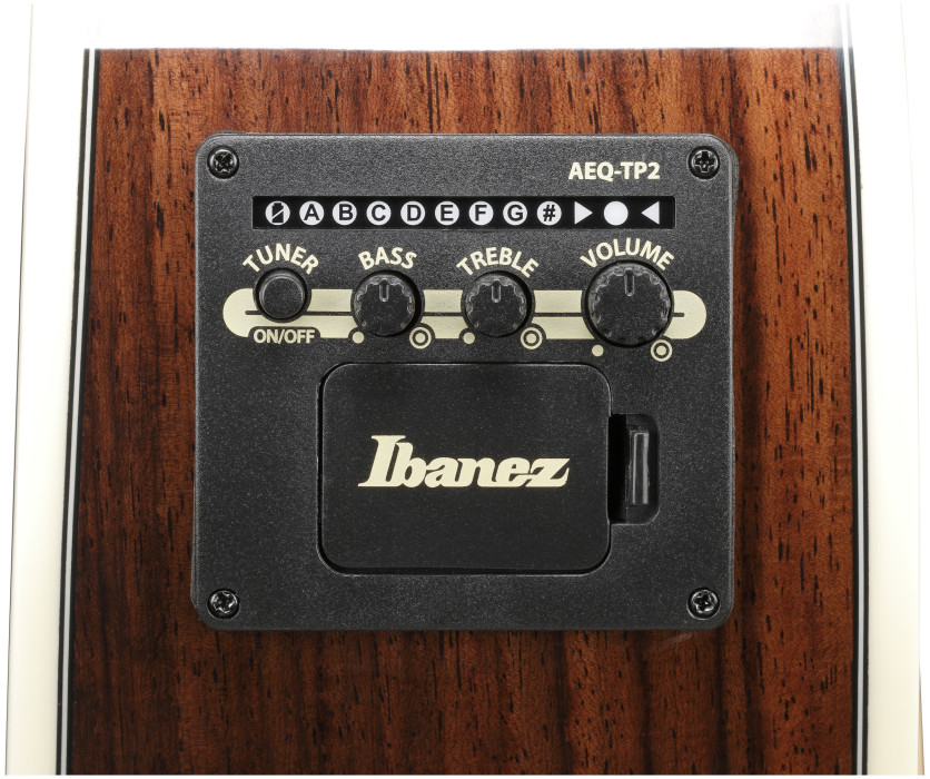 Hlavní obrázek Dreadnought IBANEZ AC391RCE - Black Top, Natural High Gloss