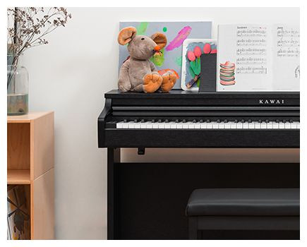 Hlavní obrázek Digitální piana KAWAI CX202B - Black