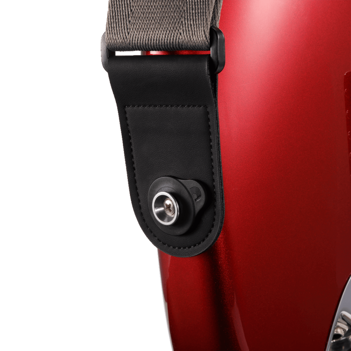 Hlavní obrázek Zámky na popruh D'ADDARIO PW-FLSB-04BK
