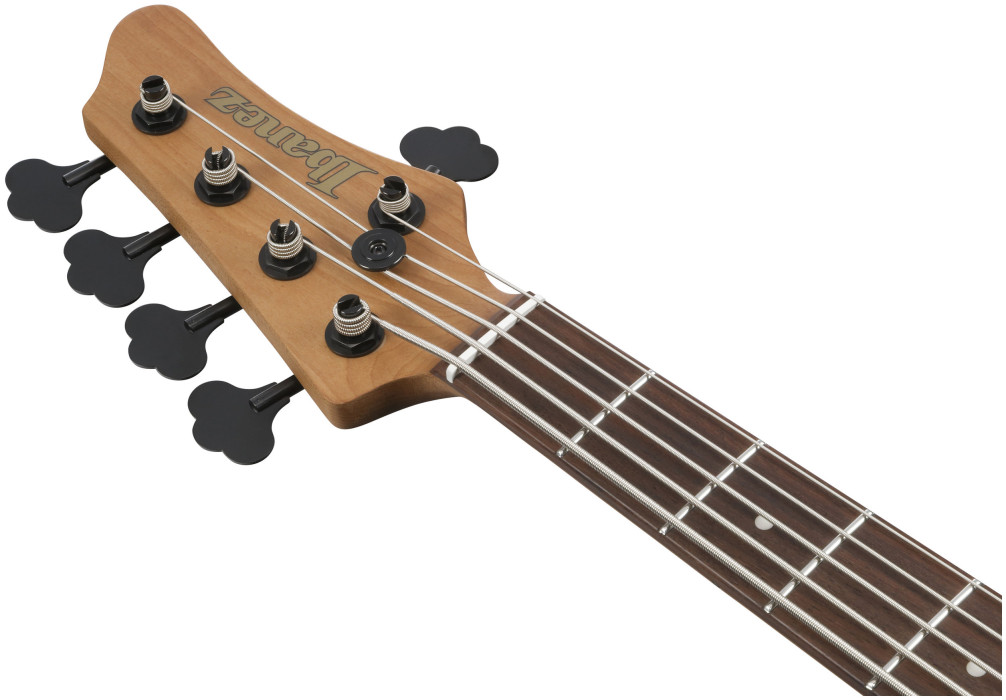 Hlavní obrázek 5strunné IBANEZ MDM1605-DTW - Deep Twilight