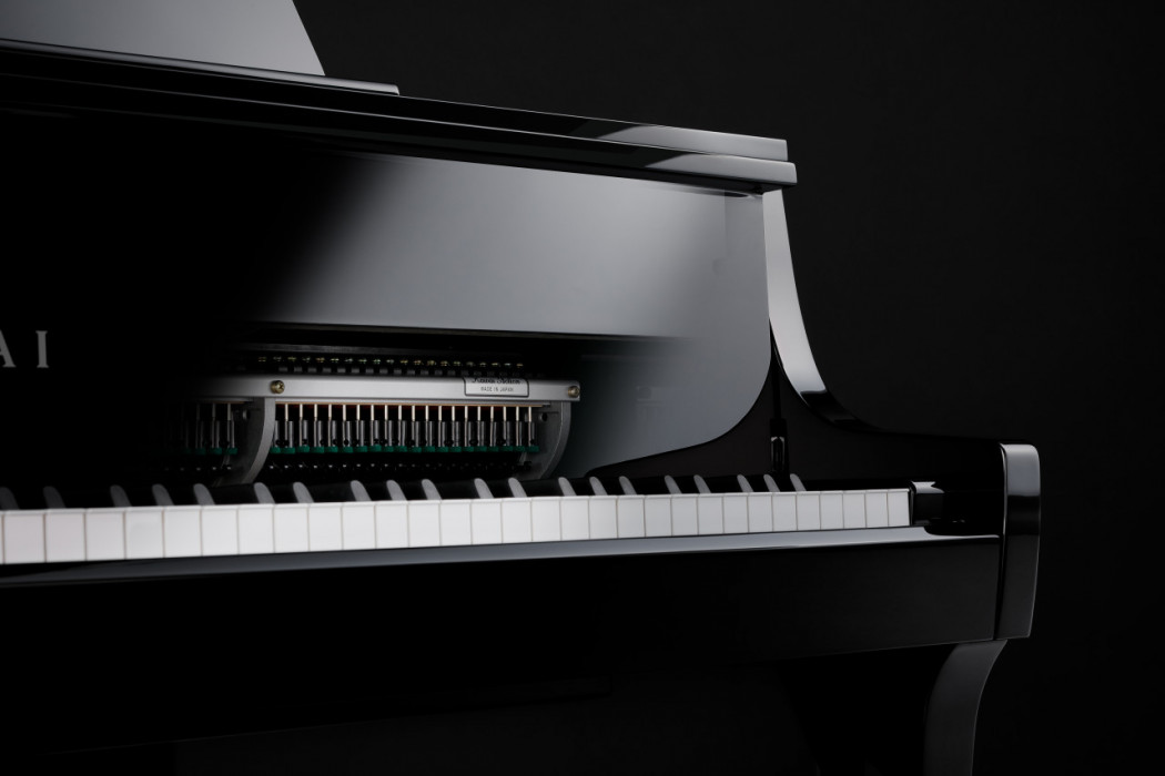 Hlavní obrázek Digitální piana KAWAI NV10 S