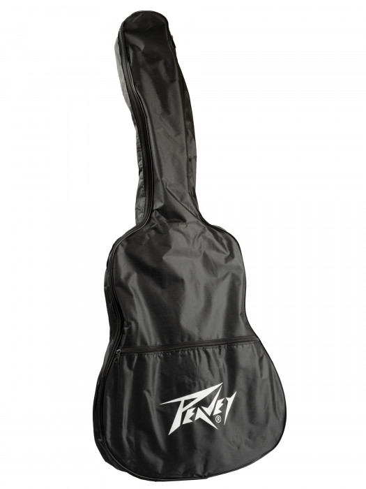 Hlavní obrázek Akustické kytary a ostatní PEAVEY Delta Woods DW-1 - Natural
