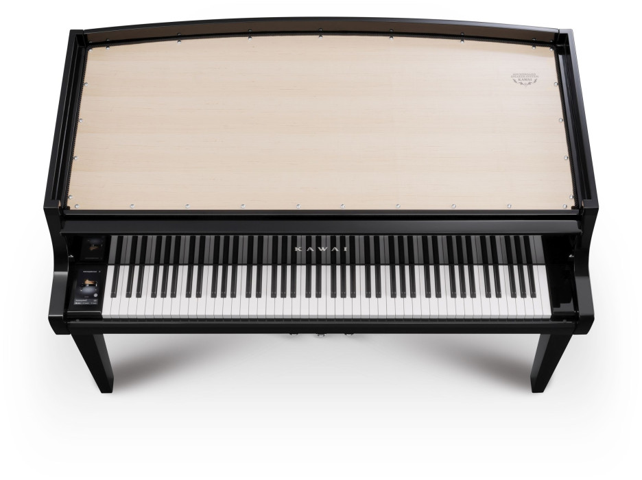 Hlavní obrázek Digitální piana KAWAI Novus NV12