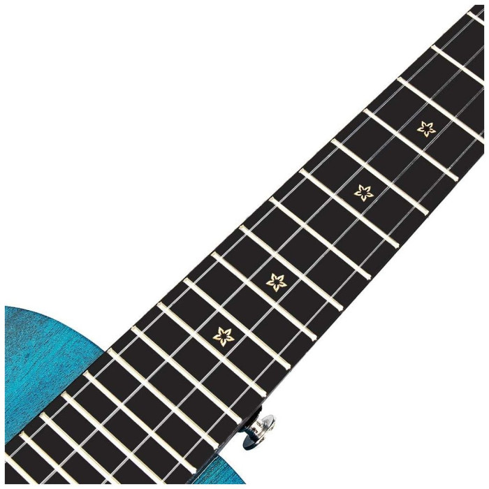 Hlavní obrázek Koncertní ENYA MUSIC 25D Solid Mahogany - Blue