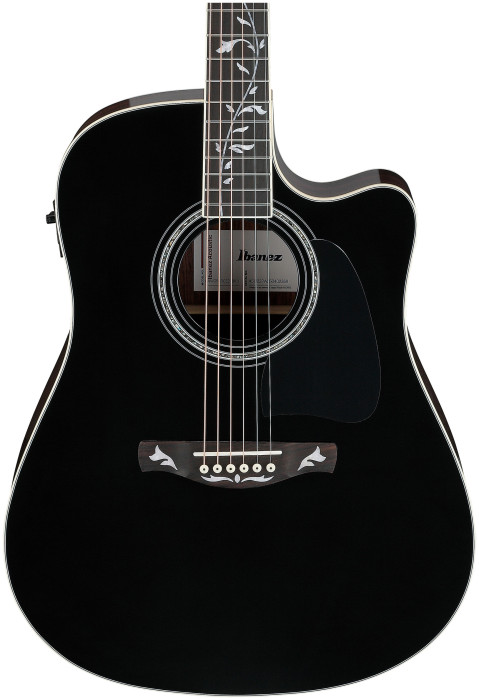 Hlavní obrázek Dreadnought IBANEZ AW391RCE - Black Top, Natural High Gloss