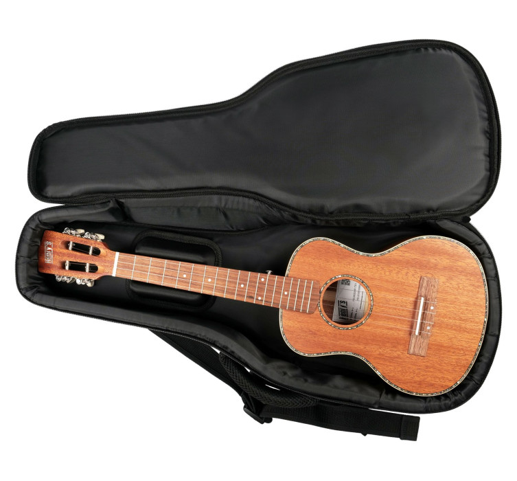 Hlavní obrázek Měkká pouzdra HENRY’S Premium UBP-01C - Black