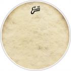 EVANS BD24GB4CT EQ4 ’56 Calftone 24” Bass