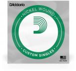 D'ADDARIO NW034