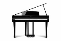 KAWAI DG30