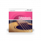 D'ADDARIO EJ23