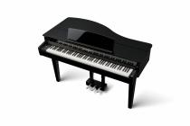 Galerijní obrázek č.5 Klávesy KAWAI DG30