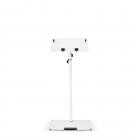 GRAVITY LTS T 02 W