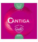 SAVAREZ 900MLB Corelli Cantiga - Medium Light