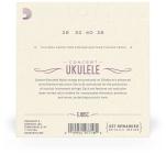 Galerijní obrázek č.1 Koncertní D'ADDARIO EJ65C