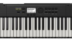 Galerijní obrázek č.6 Keyboardy s dynamikou NUX NEK-100