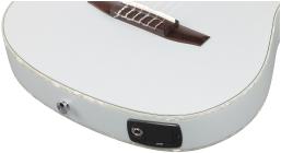 Galerijní obrázek č.6 Další tvary IBANEZ TOD10N - Silver Metallic Flat