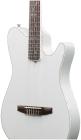 Galerijní obrázek č.4 Další tvary IBANEZ TOD10N - Silver Metallic Flat