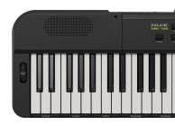 Galerijní obrázek č.5 Keyboardy s dynamikou NUX NEK-100
