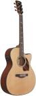 Galerijní obrázek č.2 Dreadnought IBANEZ PC34CE - Natural High Gloss