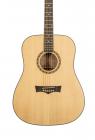 Galerijní obrázek č.2 Akustické kytary a ostatní PEAVEY Delta Woods DW-1 - Natural