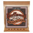 ERNIE BALL P02146 Phosphor Bronze Regular Slinky - .012 - .054
