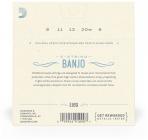 Galerijní obrázek č.1 Pro banja D'ADDARIO EJ69