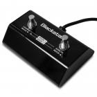 BLACKSTAR FS-11