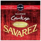 SAVAREZ 510ARP, Alliance Cantiga Premium, standard tension, sada