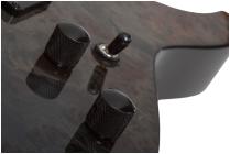 Galerijní obrázek č.3 ST - modely SCHECTER C-1 Standard - Black Fade Burst Burl
