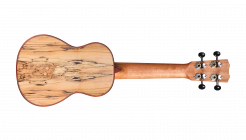 Galerijní obrázek č.2 Sopránové CORDOBA 24S Spruce - Natural